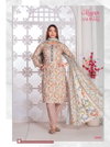 Anupama Vol 6 By Mayur Printed Pure Cotton Dress Material Wholesalers In Delhi
